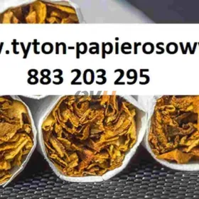 Tani tytoń różne rodzaje 70zł kilogram