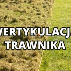 Wertykulacja trawnika Kędzierzyn - Koźle i okolice 