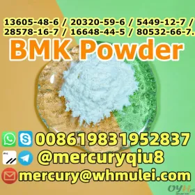  BMK Powder PMK Powder BMK OIL PMK OIL 13605-48-6