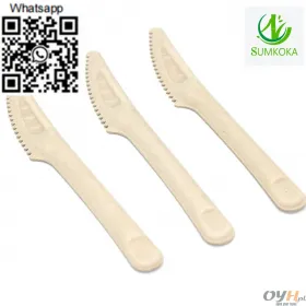 Cutlery set biodegradable cutlery bagass cutlery disposable cutlery