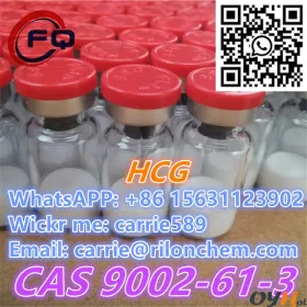 Good Effect Top Quality High Purity Best Price HCG CAS 9002-61-3