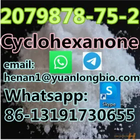 2079878-75-2  2-(2-Chlorophenyl)-2-nitrocyclohexanone