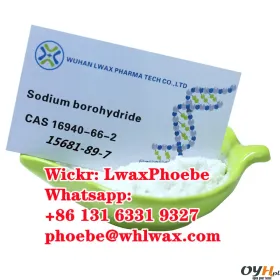 Packing NaBH4 16940-66-2 Sodium borohydride in safe con