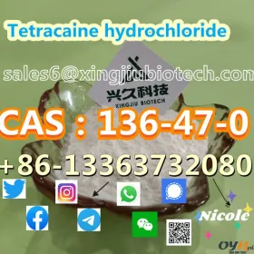 Nice Quality Tetracaine hydrochloride  136-47-0