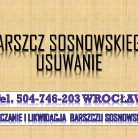 Likwidacja barszczu Sosnowskiego, tel.