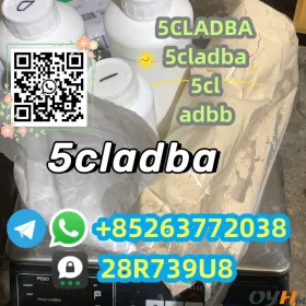 5CL-ADB supplier  vendor on sale now 