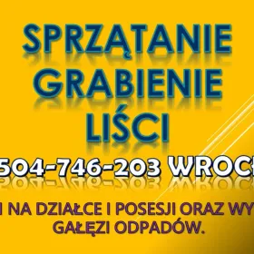 Usługi grabienia liści, tel. . Cennik Wrocław. grabienie