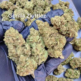 Gorilla Skittlez 27% THC! #weed #marihuana