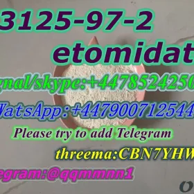  33125-97-2  etomidate