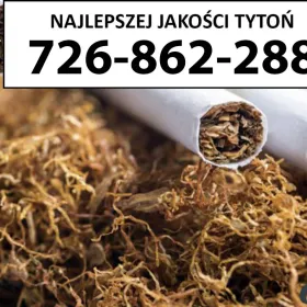 Extra Jakości TYTOŃ 80 PLN / 1KG