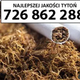 SUPER Jakości TYTOŃ 80 PLN / 1KG