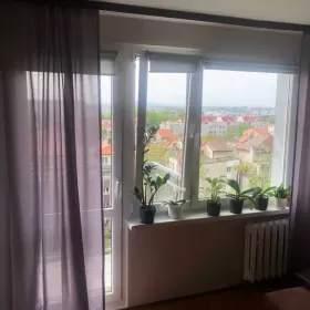 2p 49m Okolice Strzegomskiej BALKON/PIWNICA/WINDA (Wrocław)