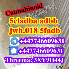 Top Quality 5cl-adb 4cl-adb 4fadba 5fadba 6fadb 6cladba