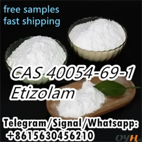  40054-69-1 Etizolam 