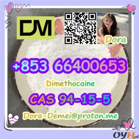 Dimethocaine