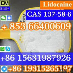  Lidocaine